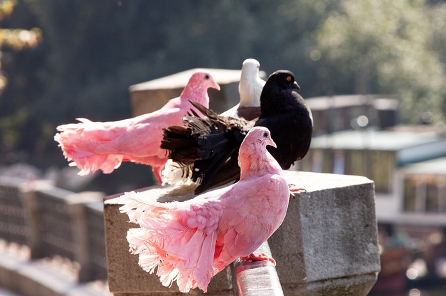 展現了對球 展現了對球