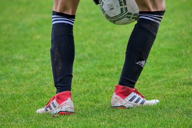 动的最高荣 动的最高荣