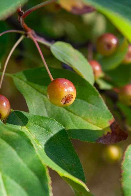 目的投入和 目的投入和