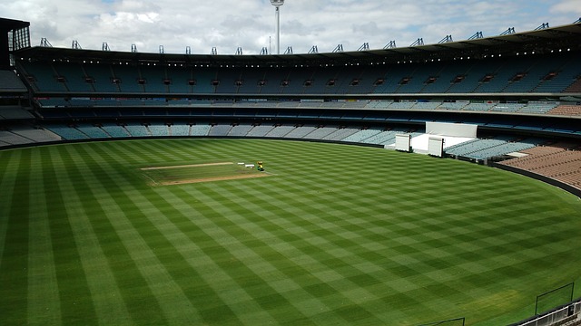 羅梅烏對德 羅梅烏對德