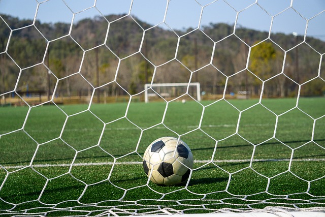 未来的赛季 未来的赛季